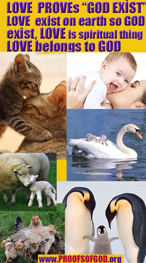 scientific proofs of god, evidences of god, god-proofs, god-signs, god-evidences, god exists, god-real