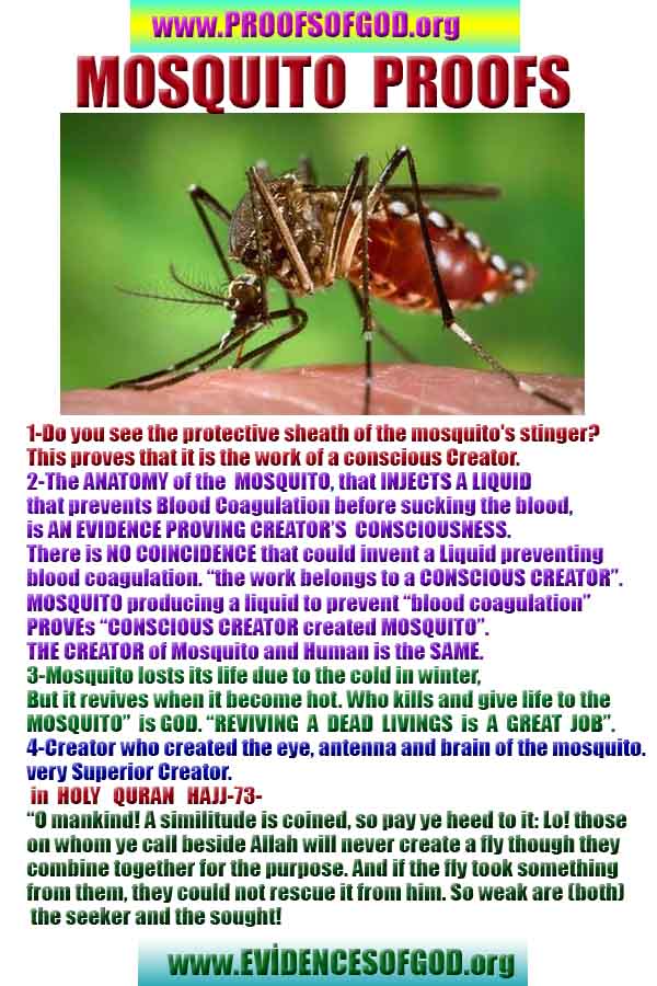 proofs of god, evidences of god, god-proofs, god-signs, god-evidences, god exists, god-real, god is real,god-exists