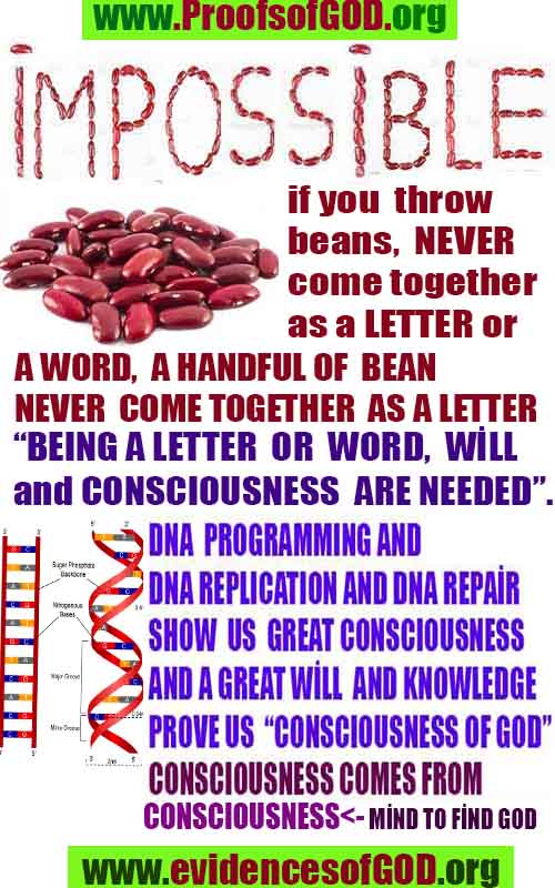 proofs of god, evidences of god, god-proofs, god-signs, god-evidences, god exists, god-real, god is real,god-exists