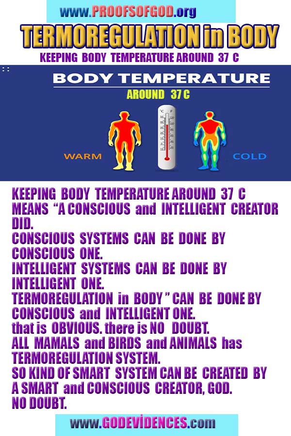 scientific proofs of god, evidences of god, god-proofs, god-signs, god-evidences, god exists, god-real