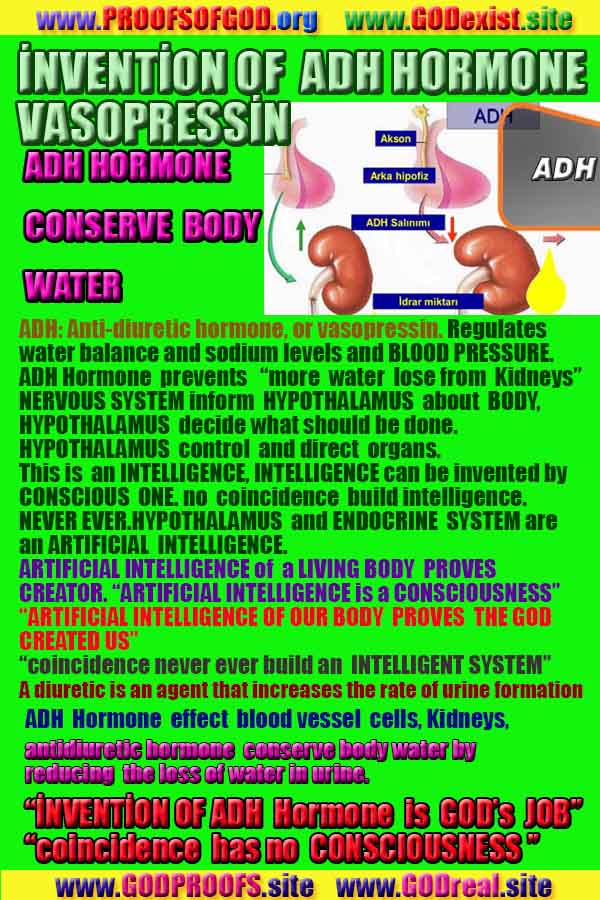 proofs of god, evidences of god, god-proofs, god-signs, god-evidences, god exists, god-real, god is real,god-exists