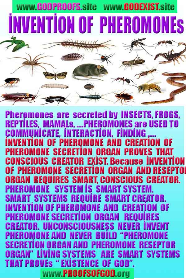 rational proofs of god, evidences of god, god-proofs, god-signs, god-evidences, god exists, god is real,god